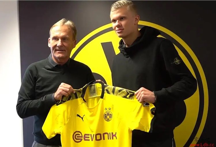 邱贻可凡尔赛！说自己胖+没有魅力，国乒叔圈顶流，越老越帅（邱贻可自嘲胖没魅力，却成国乒叔圈顶流，越成熟越有型）